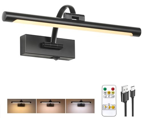 Tassuowell Wireless Battery Operated Picture Light,Rechargeable Wall Light with Remote and Timer,15.75 Inch Black Dimmable Painting Light,3CCT with Adjustable Swing Arm for Display Gallery Lighting | Amazon (US)
