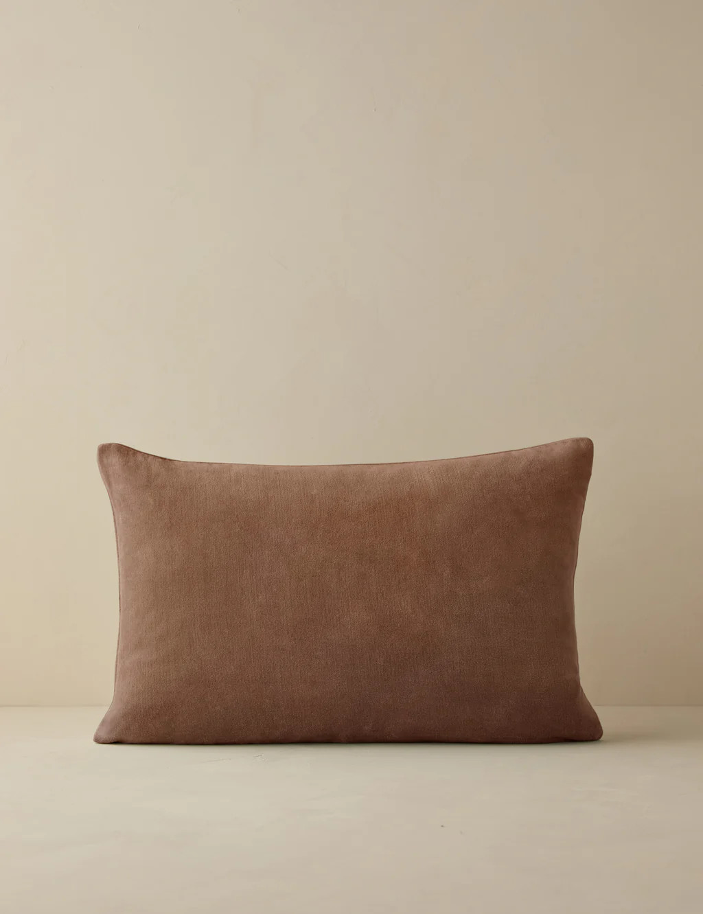 Charlotte Velvet Pillow | Lulu and Georgia 