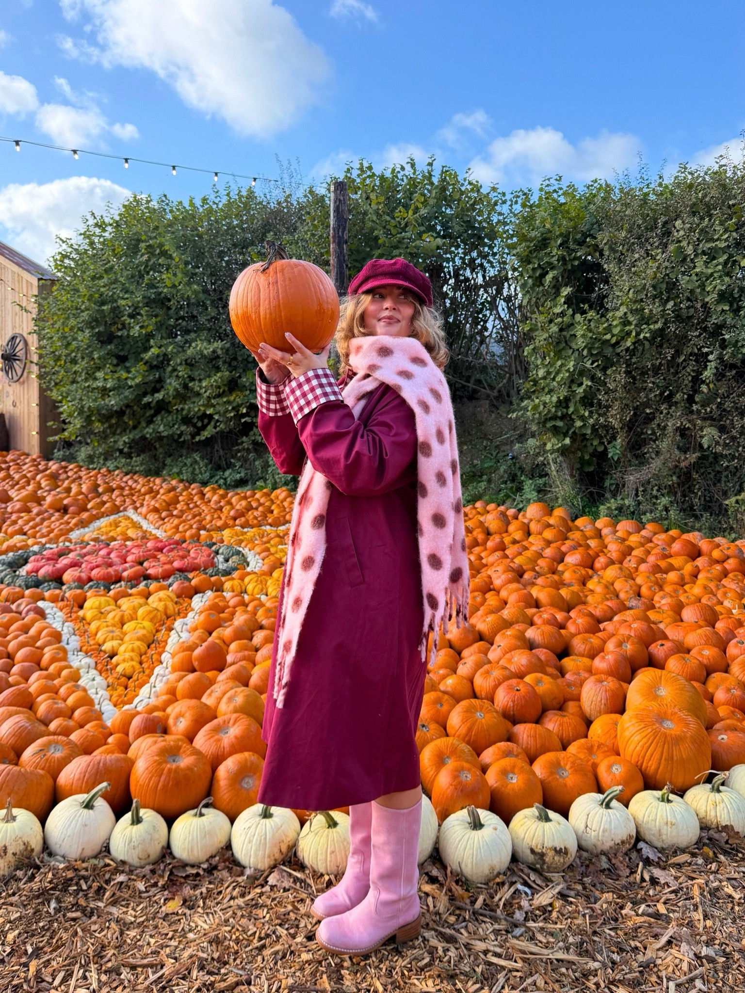 time for pumpkin pie 🥧