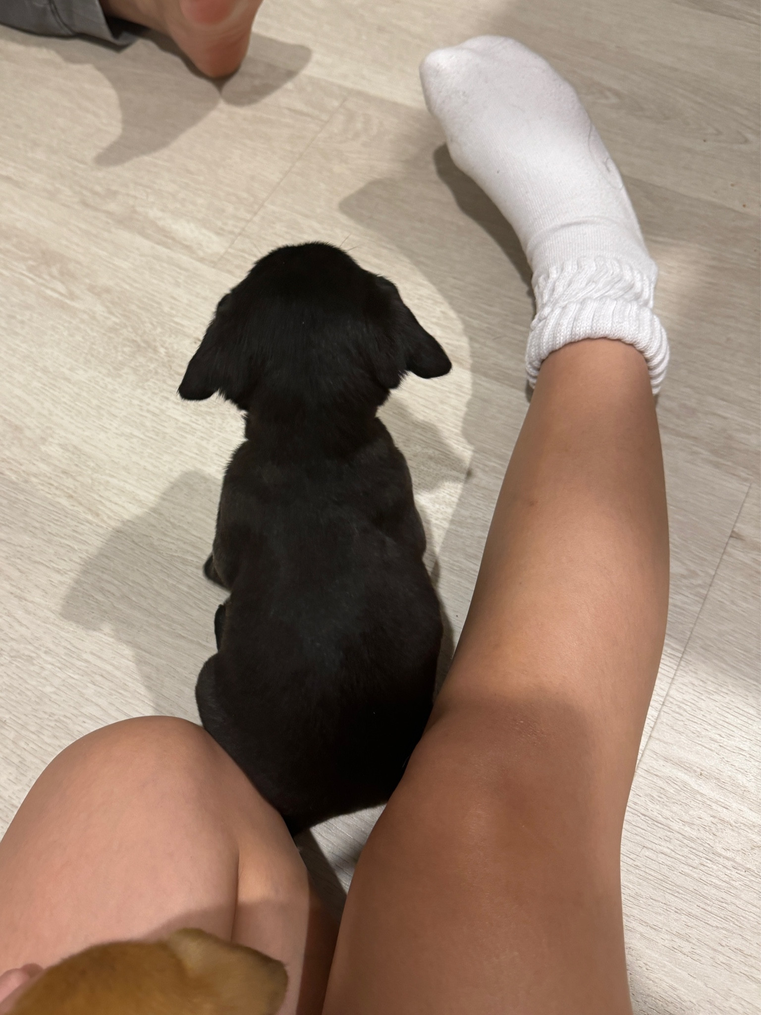 Sockiees Use code VIC for 10% off 

#LTKFindsUnder50 #LTKGiftGuide #LTKActive