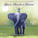 You're Here for a Reason (Nancy Tillman Collection)     Board book – Picture Book, December 26,... | Amazon (US)