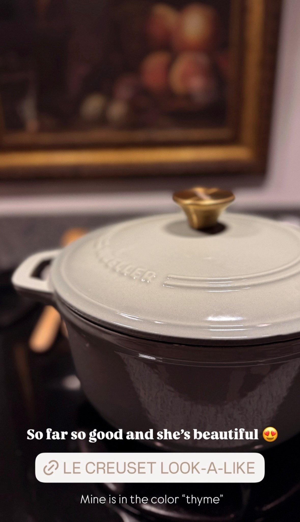 Now that I’m a chef, I have been really enjoying my Le Creuset look-a-like. 

10/10 recommend, and she’s gorgeous 😍

#LTKSeasonal #LTKHome