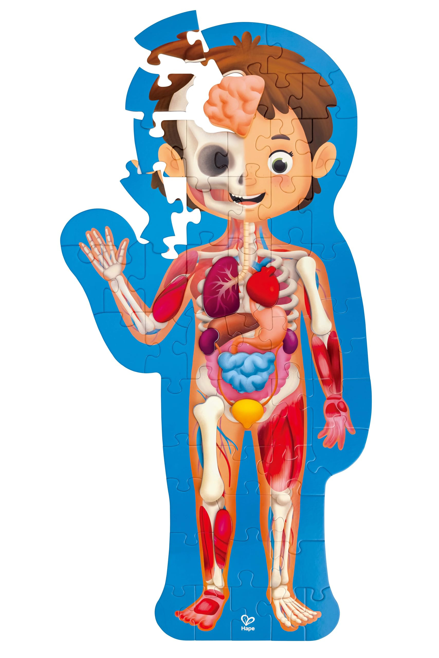 Hape Human Body Puzzle | 60 Oversized Pieces Educational Anatomy Jigsaw, Wooden Organs, for Child... | Amazon (US)