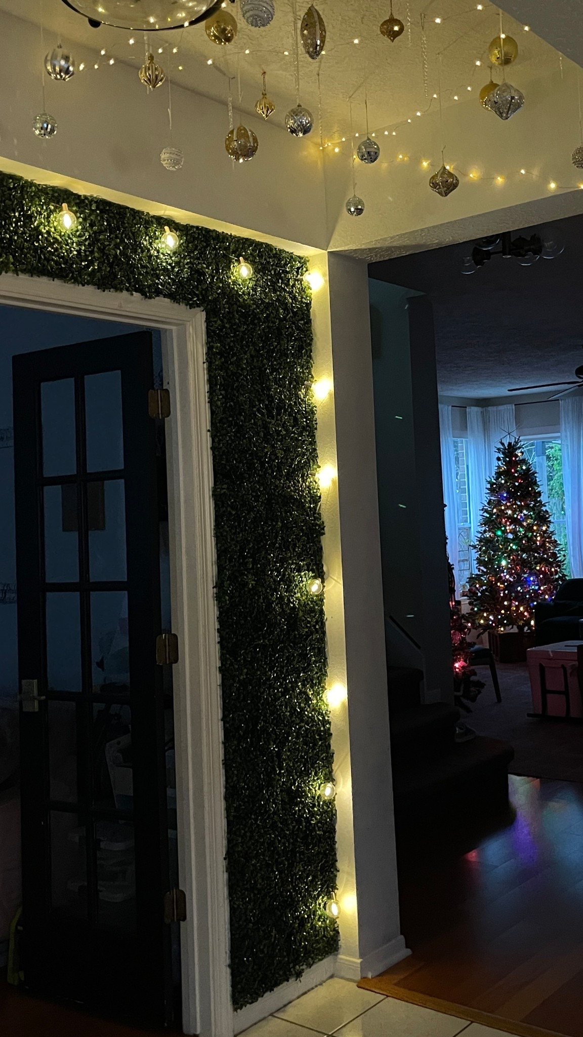 My home is decorated for the holidays, and I use warm lights to light up the box hedge wall trim. The faux box hedge panels stay up all year round giving the entryway to our house a fun airbnb kind of feel  

#LTKSeasonal #LTKHoliday #LTKHome