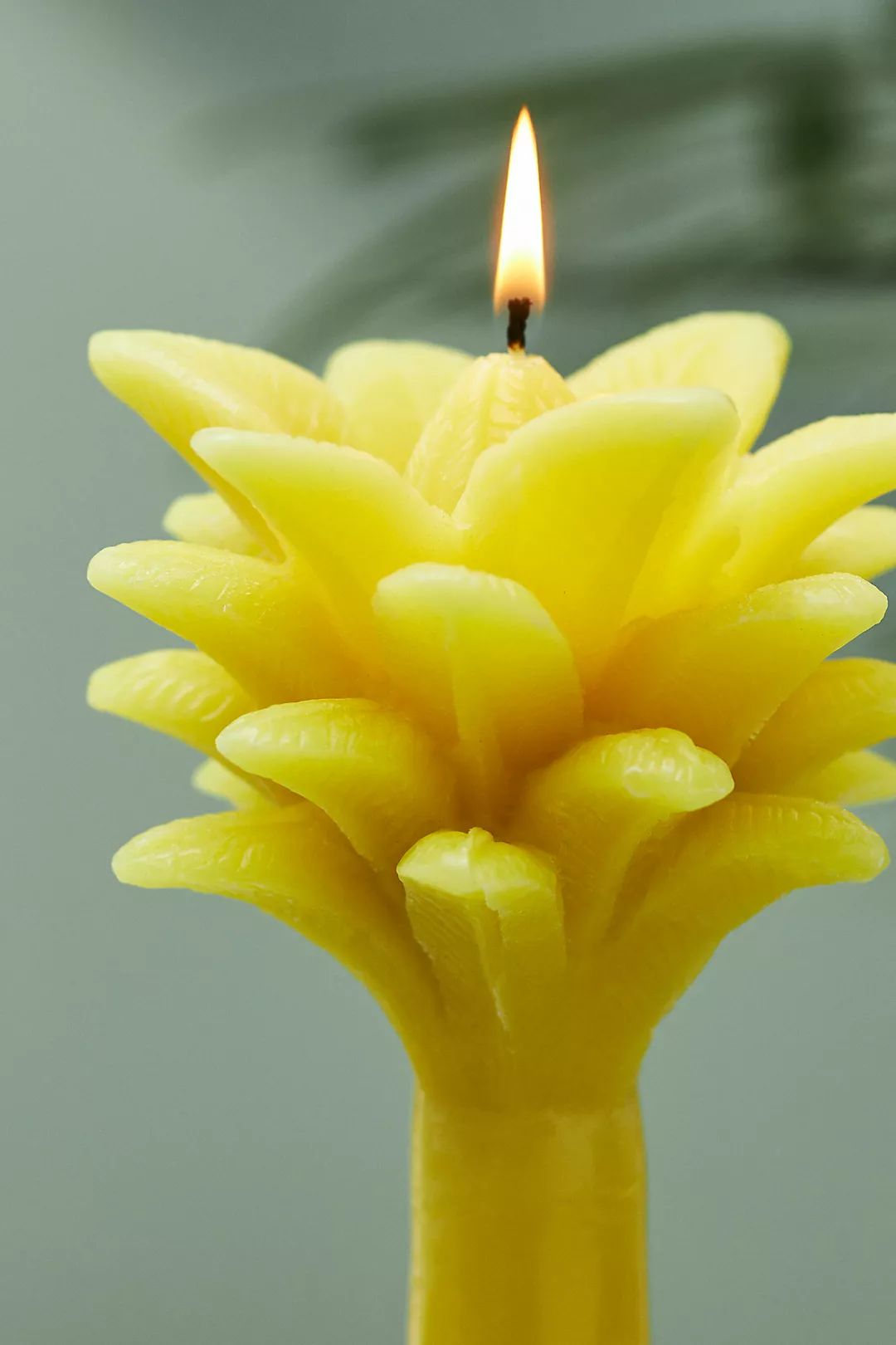 Vera Palm Tree Shaped Wax Candle | Anthropologie (US)
