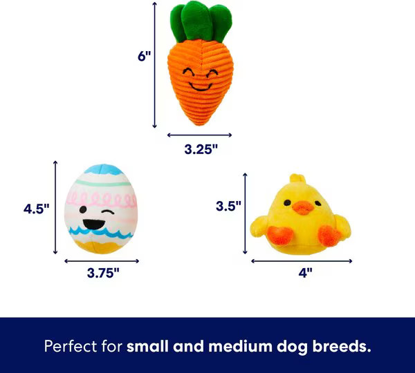 Frisco Easter Egg Basket Hide & Seek Puzzle Plush Squeaky Dog Toy, Small/Medium | Chewy.com