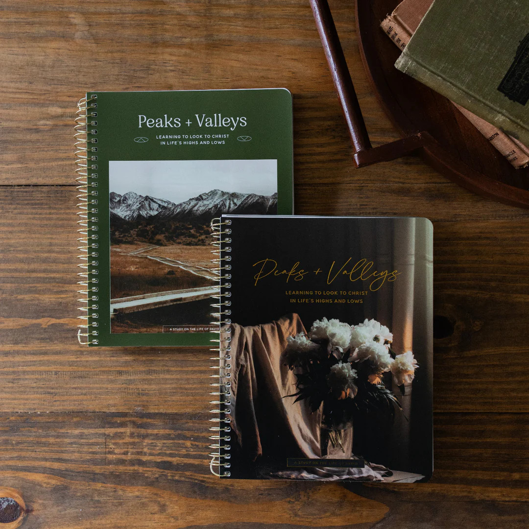 Peaks and Valleys | A Study on the Life of David | His & Hers Bundle | The Daily Grace Co.