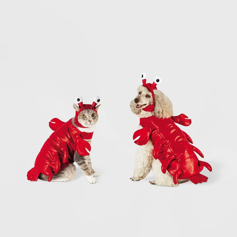 Lobster Dog and Cat Costume - Hyde & EEK! Boutique™ | Target