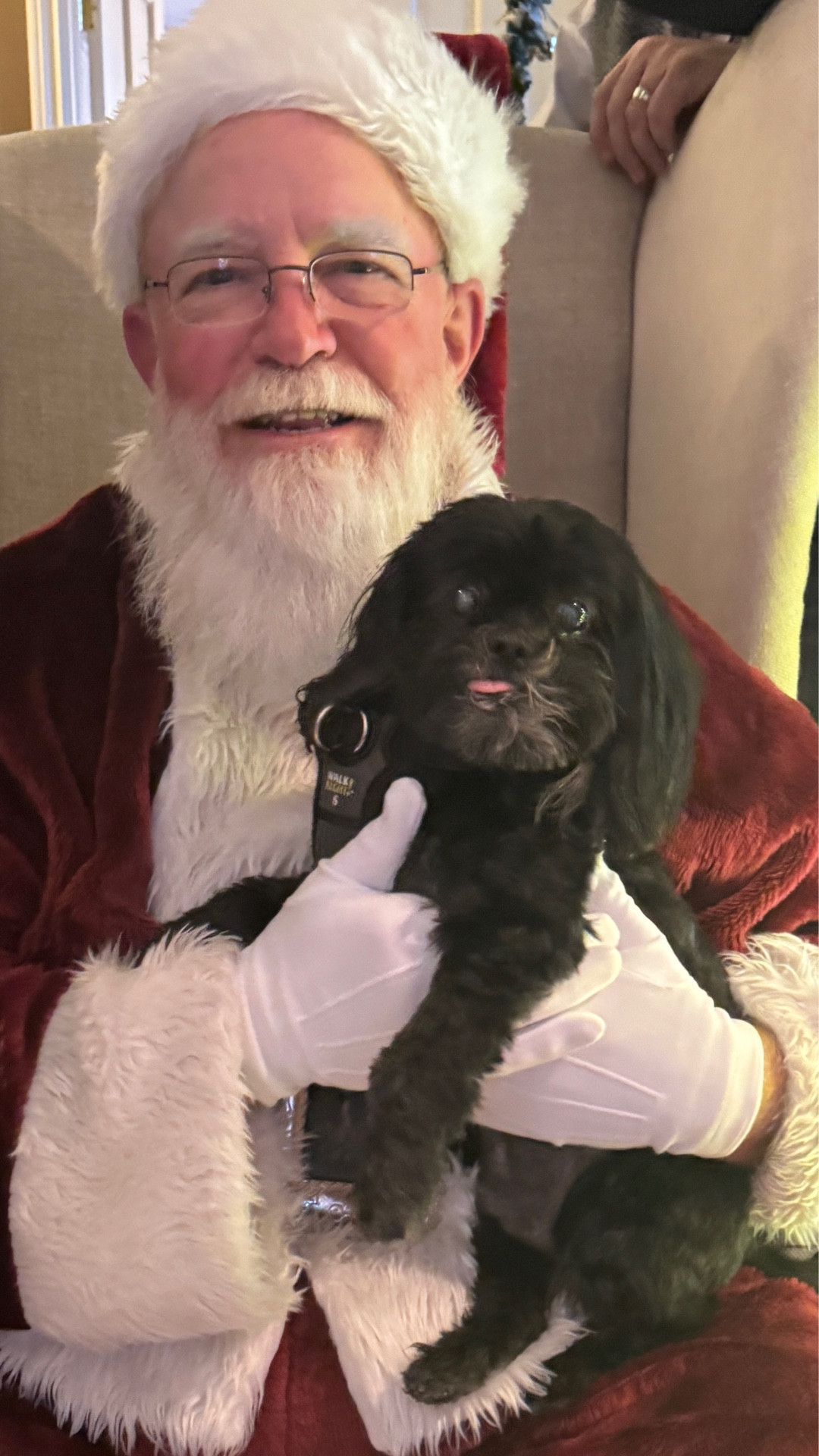 We had a Santa Party over the weekend for the grands … and the adults too! It is a wonderful tradition that everyone looks forward to every year. Santa comes, reads The Night Before Christmas and sing a few festive songs.
The kids get a chance to sit on Santas lap and let him know what they want under the tree! Then Santa hands out their 🎁!
Lots of fun for everyone!

#LTKSeasonal #LTKOver40 #LTKHoliday