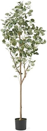 Christopher Knight Home Rebecca Artificial Eucalyptus Tree, 6' x 2.5', Green + Black | Amazon (US)