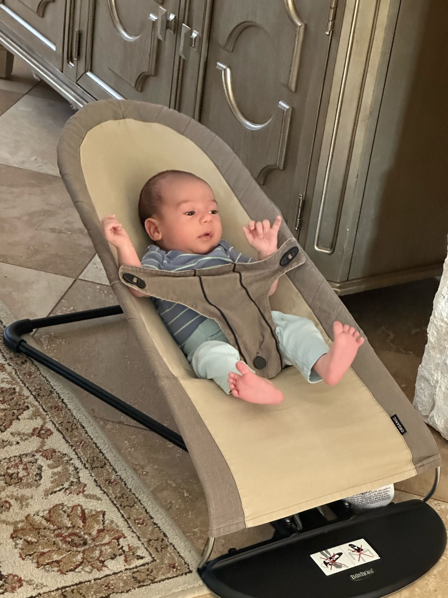 bouncers for newborns - up to 6 months 
organic cotton cover for bouncer / safe baby item / baby registry / baby lounge / newborn/ baby / Amazon gift guide / babybjorn bouncers 


#LTKBaby