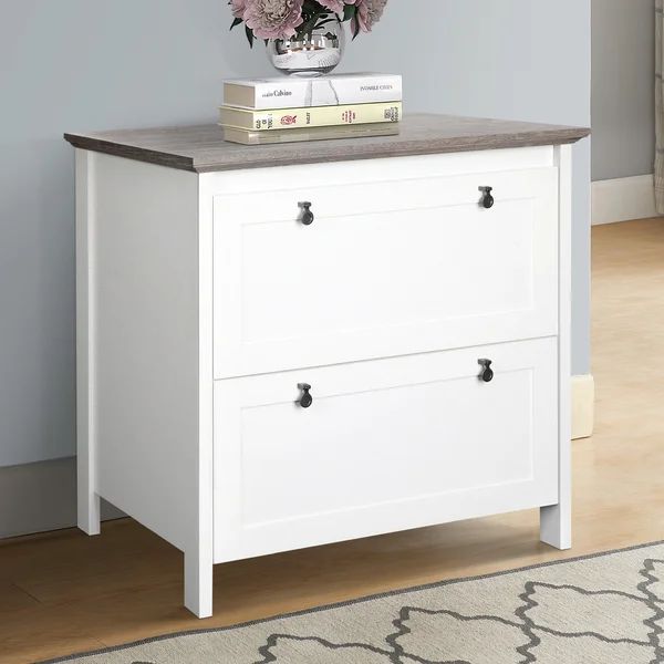Hulmeville 2-Drawer Lateral Filing Cabinet | Wayfair North America