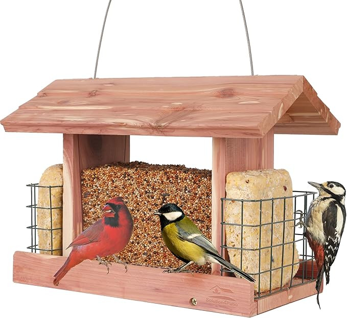 Amazon.com : Solution4Patio US Cedar Hopper Bird Feeder for Outdoors Hanging, Handcrafted Wood Do... | Amazon (US)