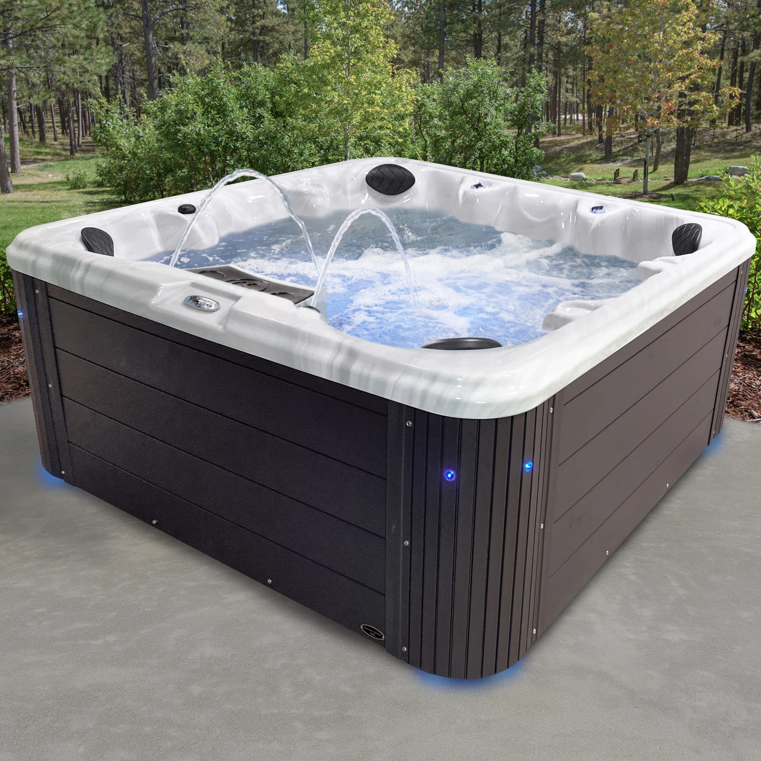 Insight 7-Person 34-Jet Acrylic Non-Lounger Hot Tub Spa with Ozonator, LED Lighting and Ice Bucke... | Wayfair North America