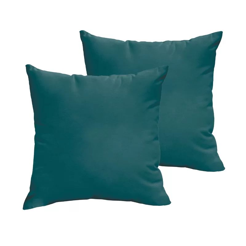 Parvati Outdoor Square Pillow Cover & Insert | Wayfair North America