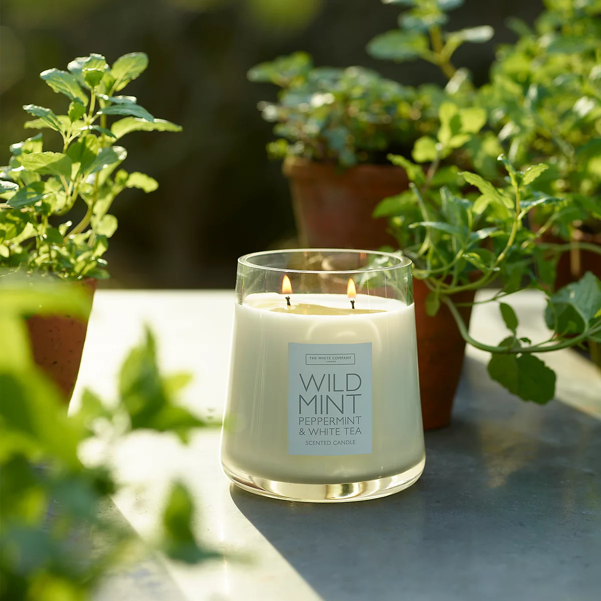 Wild Mint Candle | The White Company UK & ROW