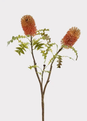 Coral Orange Fake Bottle Brush Protea Tropical Flower Branch - 35" | Afloral