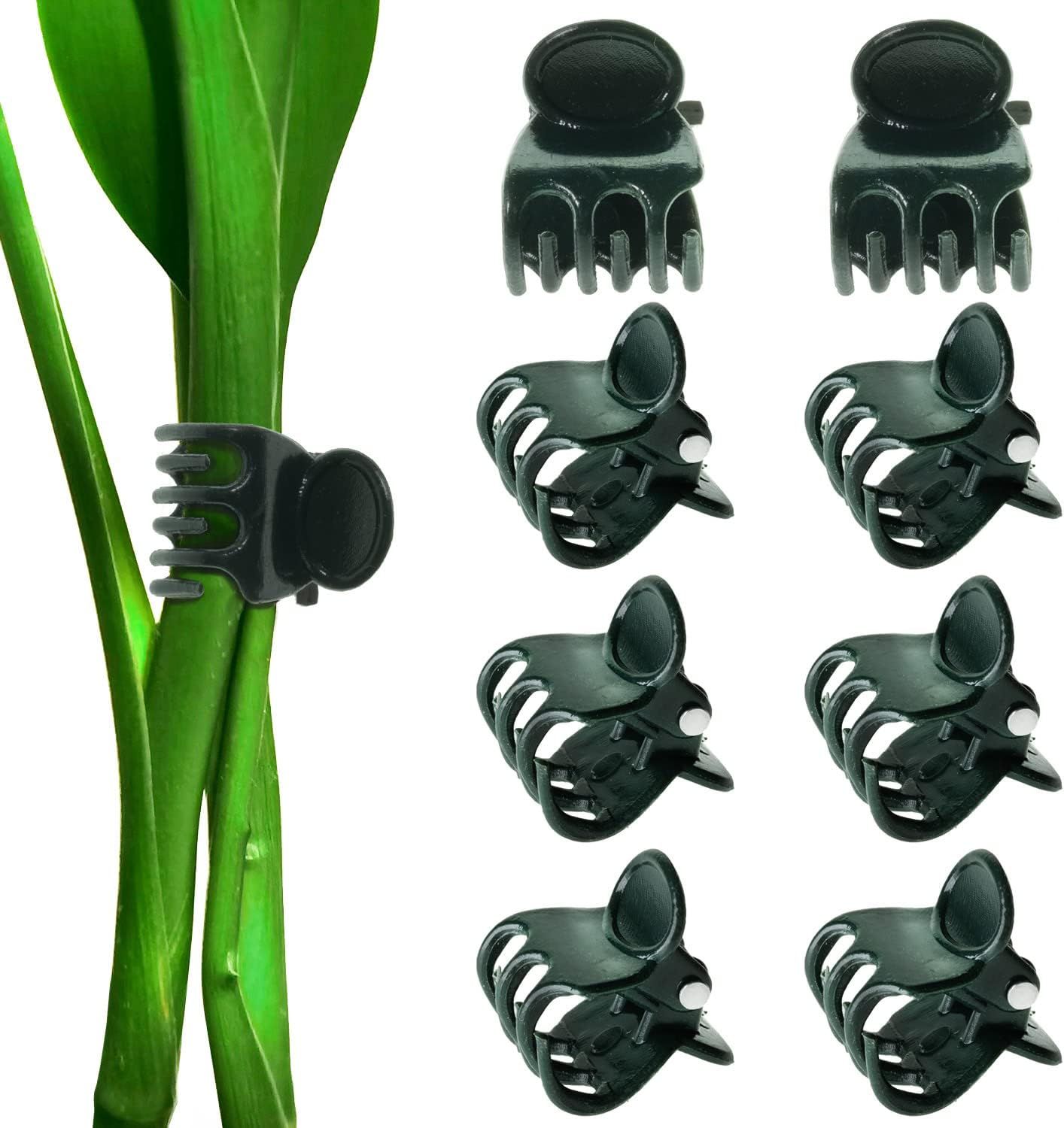 BEADNOVA Plant Clips 100Pcs Orchid Clips Orchid Support Clips Vine Clips Plant Clips for Support ... | Amazon (US)