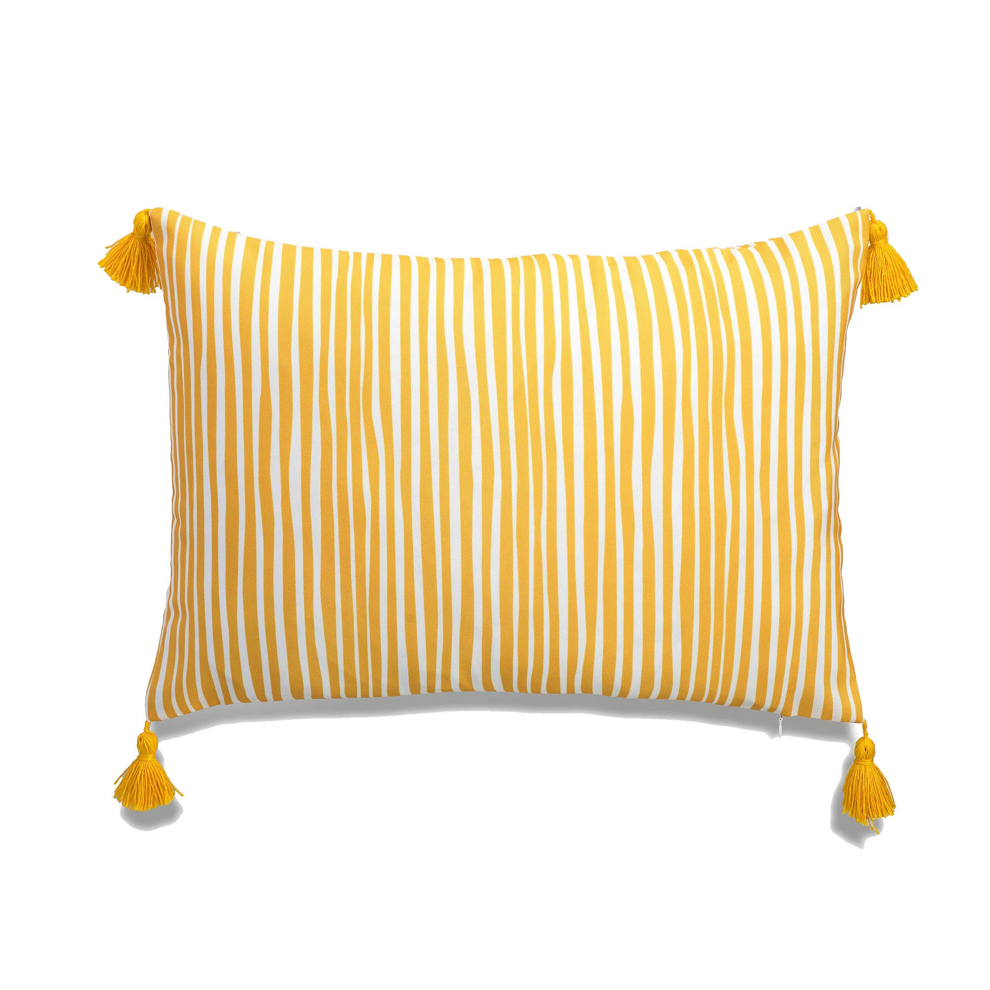 Peterborough Home My Cottage Living Outdoor Lumbar Rectangular Pillow Cover | Wayfair | Wayfair North America