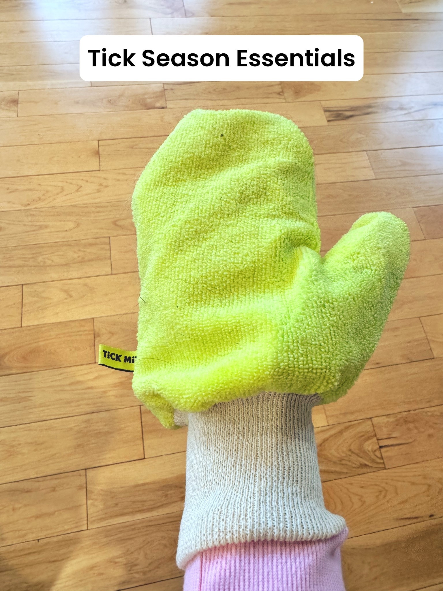 Ticks are BAD this year 😅

We’ve been using a few things as an extra layer before heading outside—especially for the kids + backyard time.

✔️ tick spray
✔️ tick mitt (this has been clutch for quick checks)
✔️ full check after being outside

Still figuring out what works best, so if you have a go-to routine or product, tell me!!

#LTKHome #LTKmomlife #LTKSeasonal