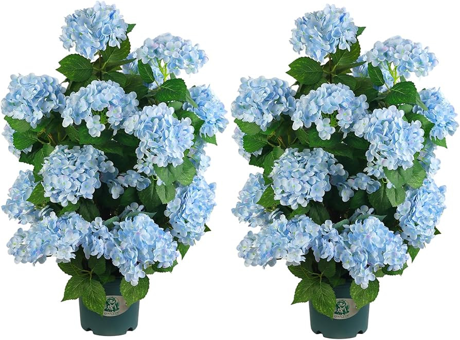 30’’ Artificial Hydrangea Tree with Blue Flowers, Faux Hydrangea Tree in Pot for Indoor & Out... | Amazon (US)