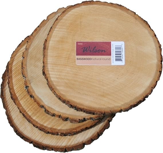 Wilson Basswood Round Rustic Wood Slice for Natural Décor, DIY Crafts (7-9") Set of Four | Amazon (US)