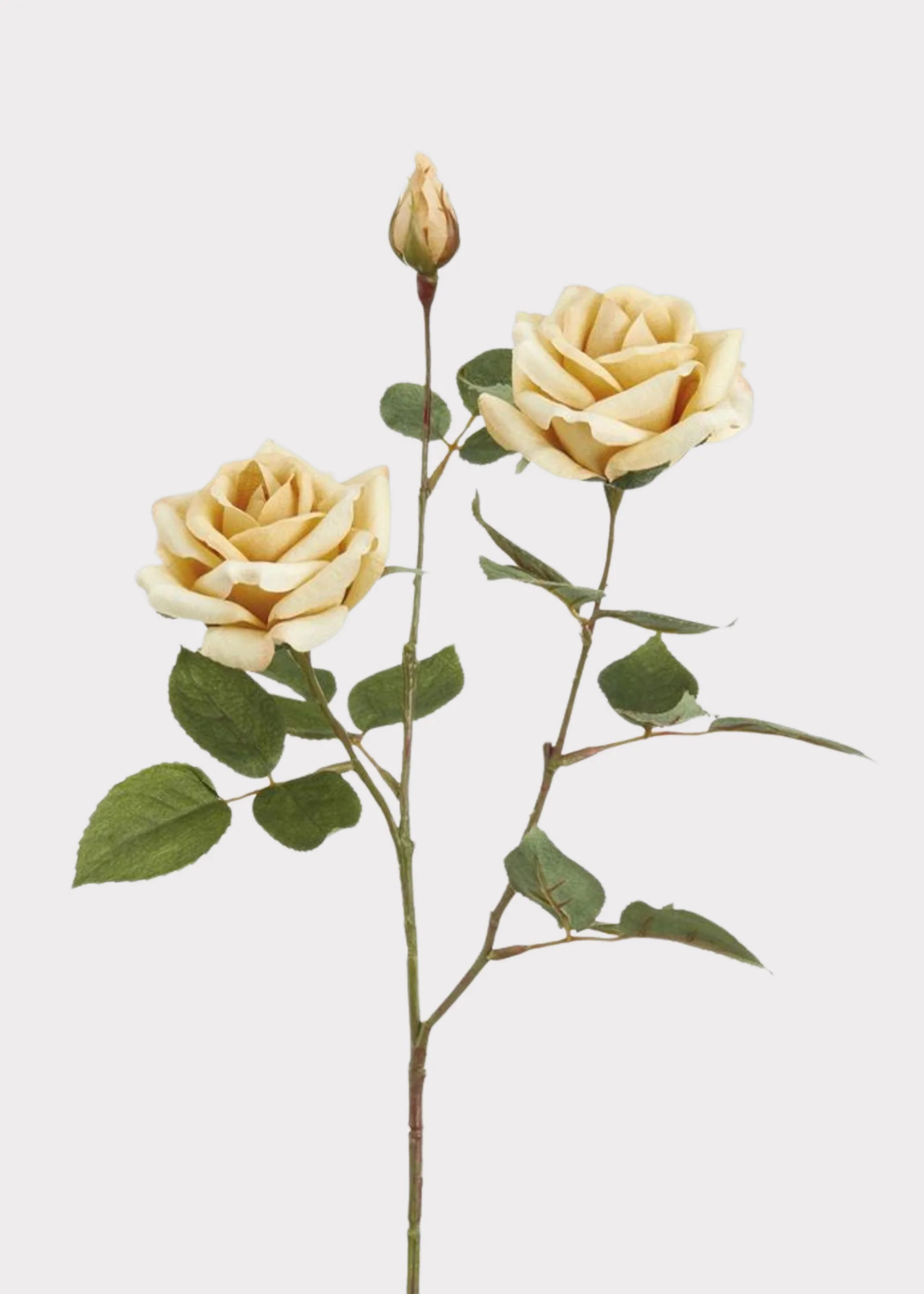 Yellow Blooming Rose Spray - 26" | Afloral