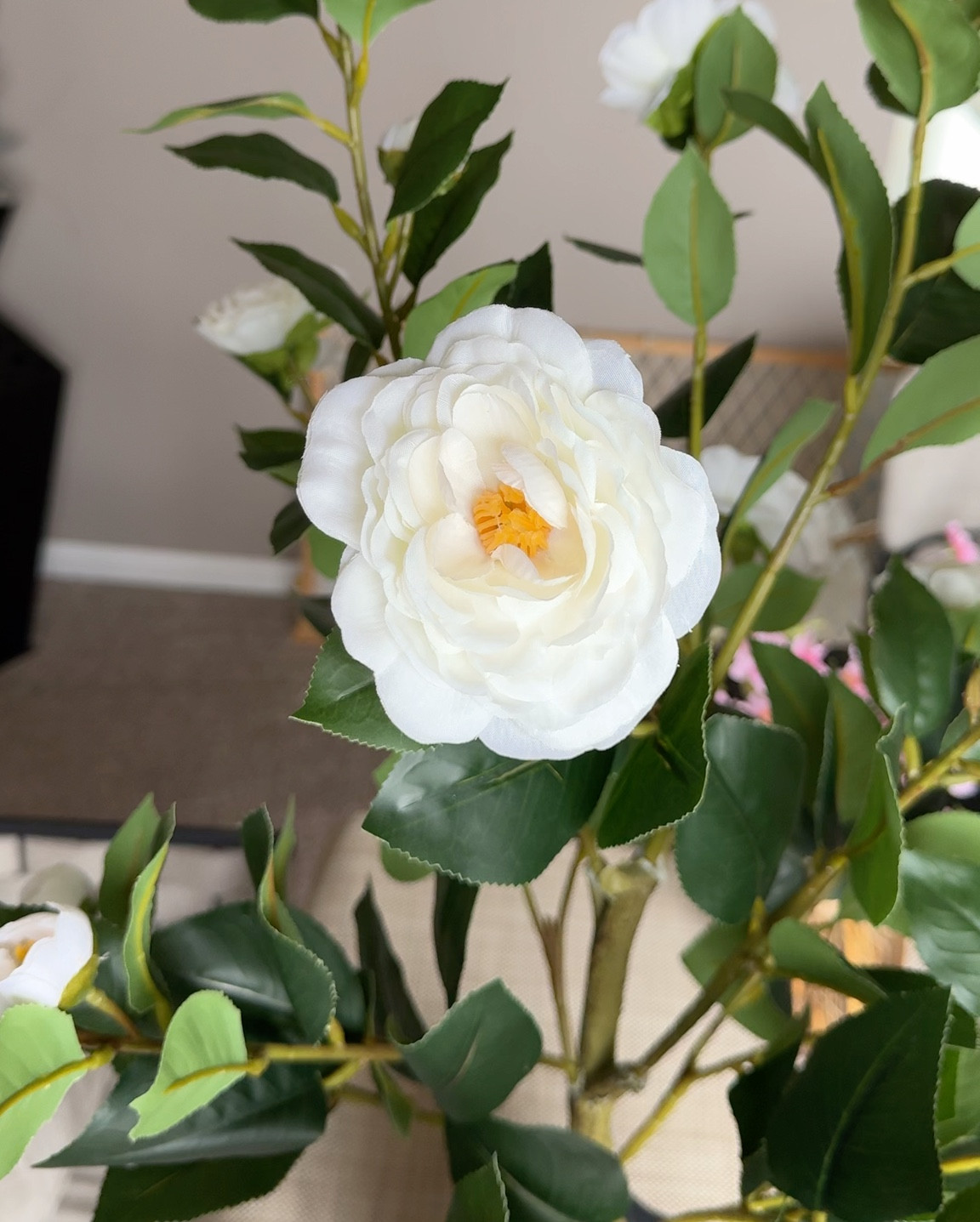 Faux Camellia trees from Amazon are perfect for your spring porch. Comes in a set of 2 and 3 color options. I refreshed my porch for spring and these worked beautifully. 

#fauxflowers #amazonfauxflowers

Faux white flowers, porch decor, spring decorations for outside, faux potted camellias, faux flowers for pots, outside fake flowers

#LTKSeasonal #LTKHome