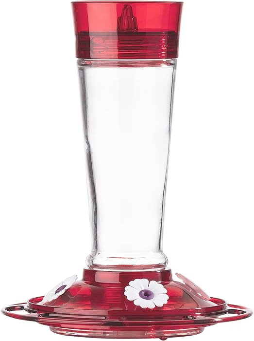 More Birds Bird Health+ Ruby Hummingbird Feeder, Glass Hummingbird Feeders for Outdoors, 4 Feedin... | Amazon (US)