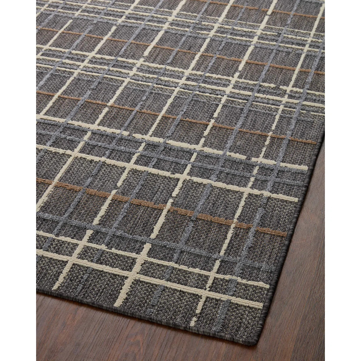 Pesina II Charcoal / Multi Indoor/Outdoor Area Rug | Wayfair North America