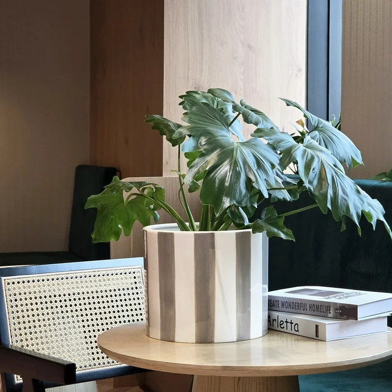 Mainstays Andrew 10" x 10" x 8.75" Round Birch Gray and Vanilla Dream Ceramic Planter | Walmart (US)