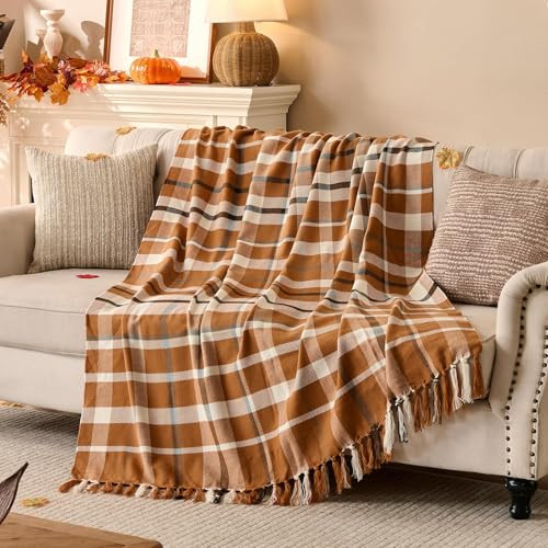 Lanpn Fall Plaid Throw Blanket, Cozy Soft Checked Blankets for Couch Sofa Bed, Decorative Acrylic Fall Throws with Fringe, Picnic Cashmere Like Shawl, Autumn Thanksgiving Home Decor Gift, 50x60, Khaki | Amazon (US)