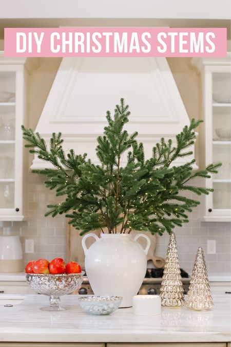 DIY twinkle light Christmas stems 🎄 I love pottery barn, but for 1 stem, they are charging $50 and I just can’t do that! So I got 3 bundles of these faux Christmas stems and adding my own twinkle lights to them! What do you think? ✨

Tags:  Christmas decor, grandin road 

#LTKHoliday #LTKhome #LTKHolidaySale