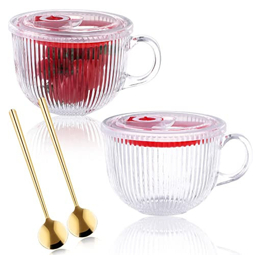 2 Pack Glass Soup Bowl with Lids Glass Cereal Bowl with Spoon Handle Clear Coffee Mug 15 oz Oatmeal Bowl Microwave Safe Breakfast Bowls Yogurt Bowl for Latte Dessert Beverage Tea Soup Cereals Fruits | Amazon (US)