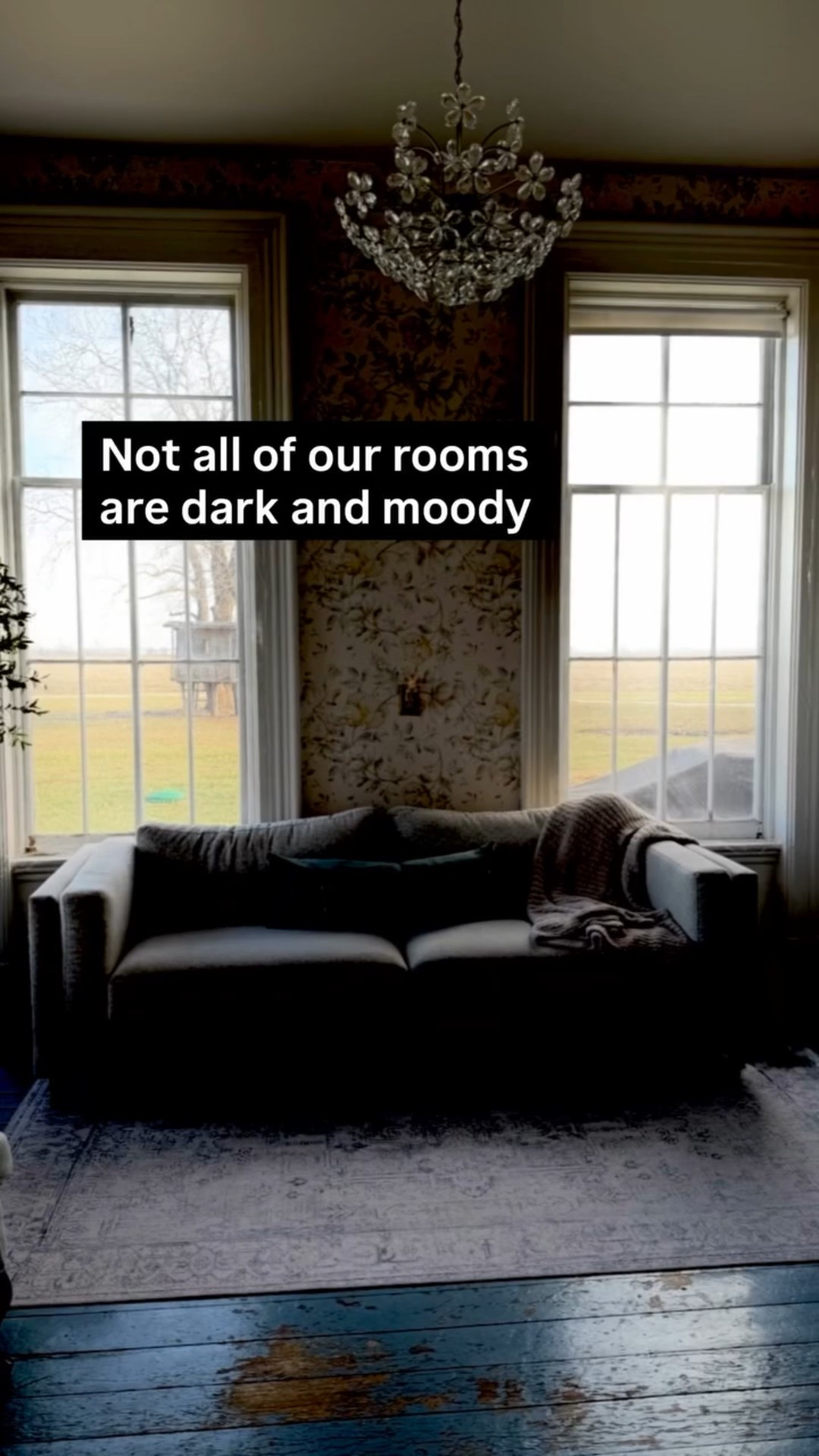 Not all of our rooms are dark and moody.

This sitting room? Bright. Warm. Sun-soaked.
The kind of space that reminds you an 1860 home can be dramatic and happy at the same time.

I love the contrast. Moody parlors for late nights, light-filled rooms for slow mornings, old windows doing what they’ve done for 160+ years: showing off.

Sharing details, textures, and links over on LTK if you are interested. ✨

Because yes… you can mix historic home charm, classic interiors, and real-life living.

Save this if you love bright historic homes. And the dark brooding rooms are here too. ♥️🖤💛

BTW - that pic? One of our local artists, Janet Roney, did that one. Isn’t it spectacular?!