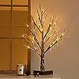 Hairui Lighted Tabletop Artificial Small Tree Snow Dusted 24 LED 18IN Battery Operated with Timer... | Amazon (US)