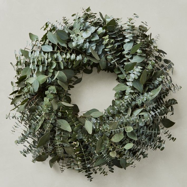 Mixed Eucalyptus Wreath, 24" | Williams-Sonoma