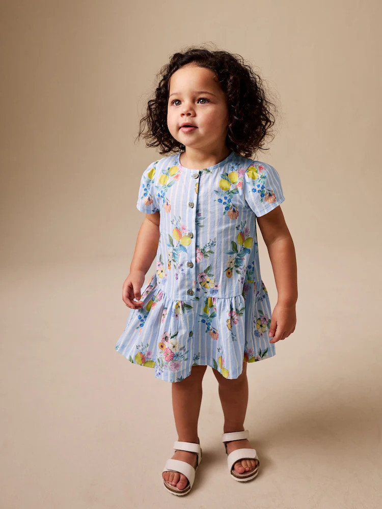Blue/White Stripe Floral Short Sleeve Cotton Dress (3mths-8yrs) | Next US