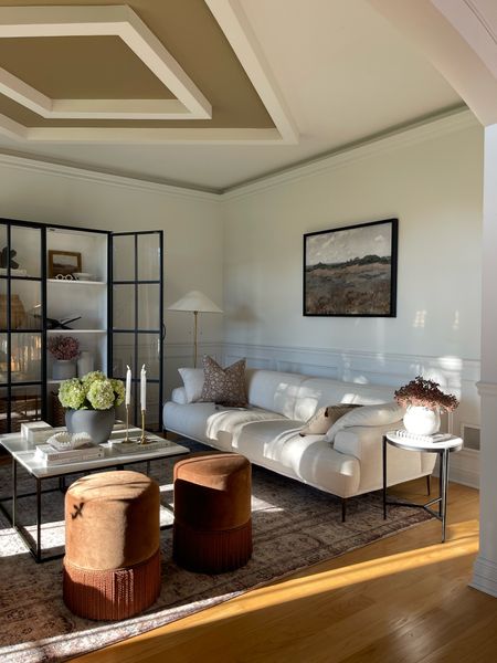 Brown tones for fall living room styling — but, these colors live here year round. 

White sofa, framed art, marble coffee table, astrid stool, ottoman, stool, area rug, hydrangea, vase, lamp, floor lamp, cabinet, cabinet styling, living room, coffee table, coffee table decor, 

#LTKsalealert #LTKstyletip #LTKhome