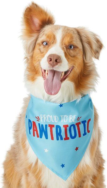 Frisco Pawtriot Dog & Cat Bandana | Chewy.com
