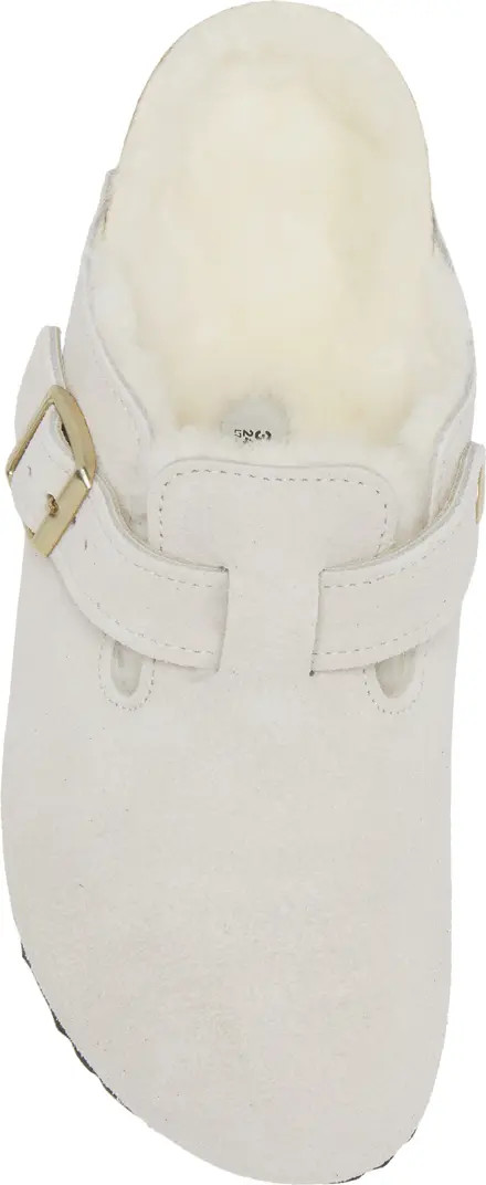 Birkenstock Boston Genuine Shearling Lined Clog (Women) | Nordstrom | Nordstrom