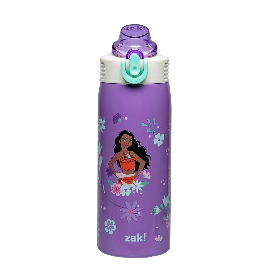 Zak Designs Disney Princess Sage Kids Water Bottle For School or Travel, 19oz Stainless Steel Wat... | Amazon (US)