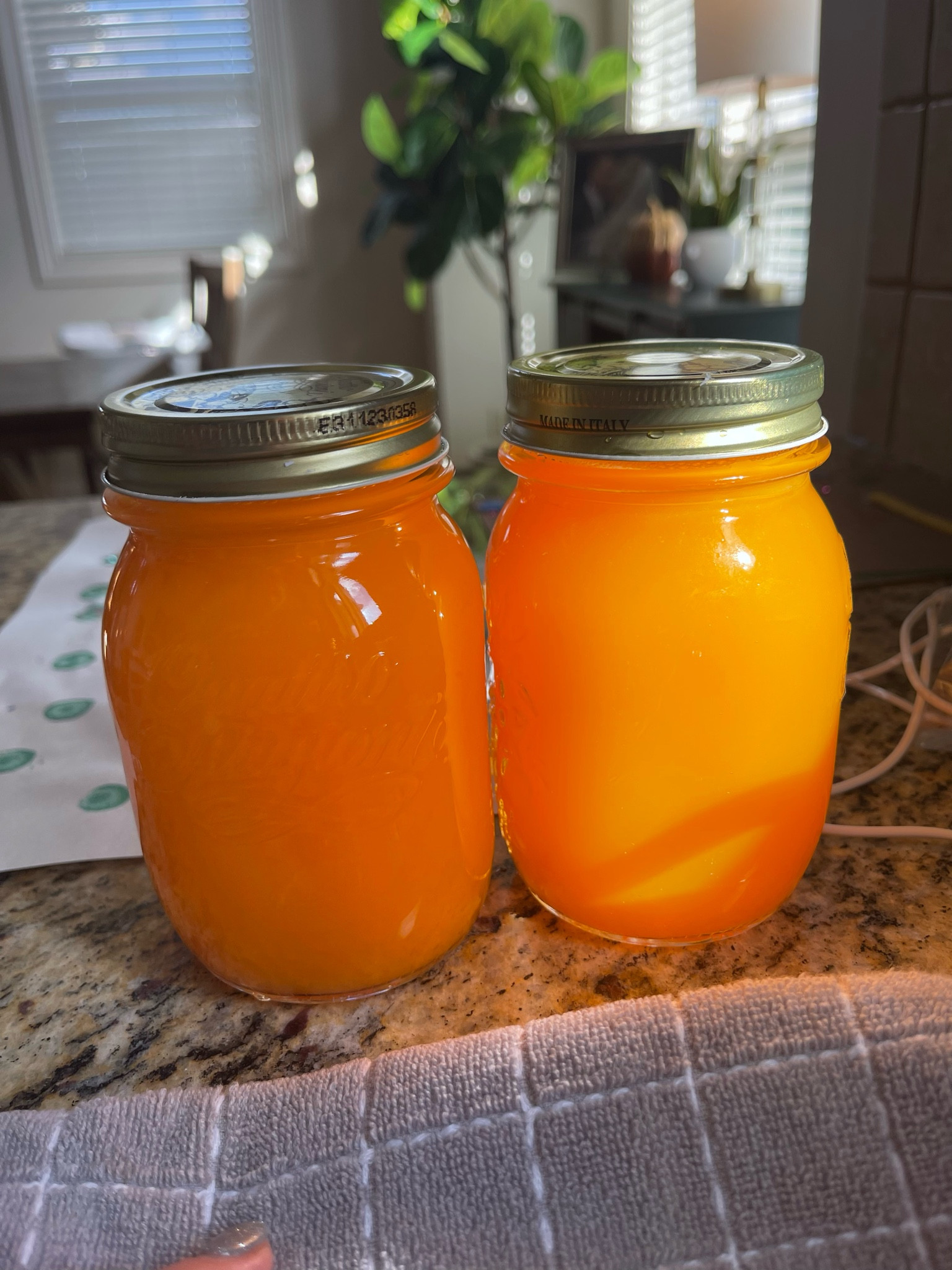 Health is wealth 🍊🍋🫚👌🏼

#LTKActive #LTKFamily #LTKFitness