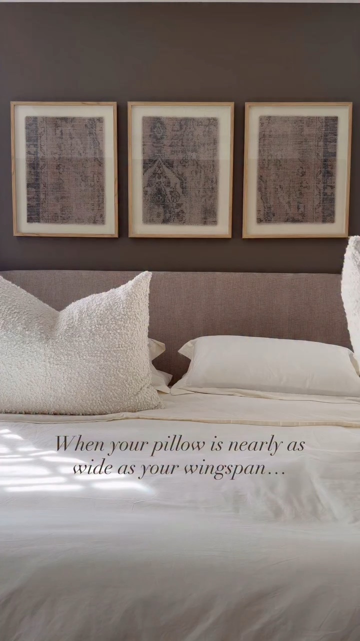 A bit of a splurge so worth the statement they make! Comment “pillow” for a link!