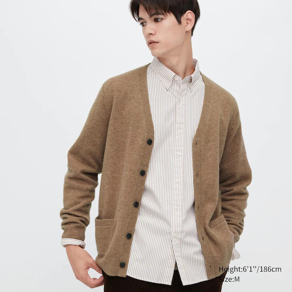 Premium Lambswool V-Neck Long-Sleeve Cardigan | UNIQLO (US)