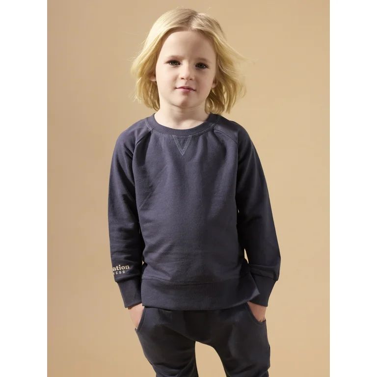 Little Star Organic Toddler Unisex 2 Pack Long Sleeve Pull Over Sweatshirt, Size 12M-5T | Walmart (US)