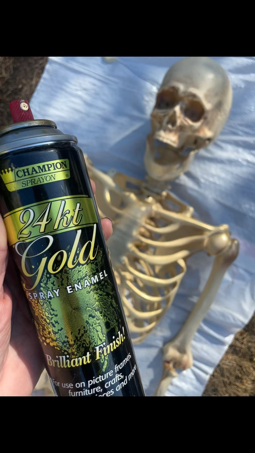 My favorite gold spray paint! 

Skeletons
Halloween decor
Halloween home
Fall decor
Skeleton decorating 
Gold spray paint 

#LTKfamily #LTKSeasonal #LTKhome