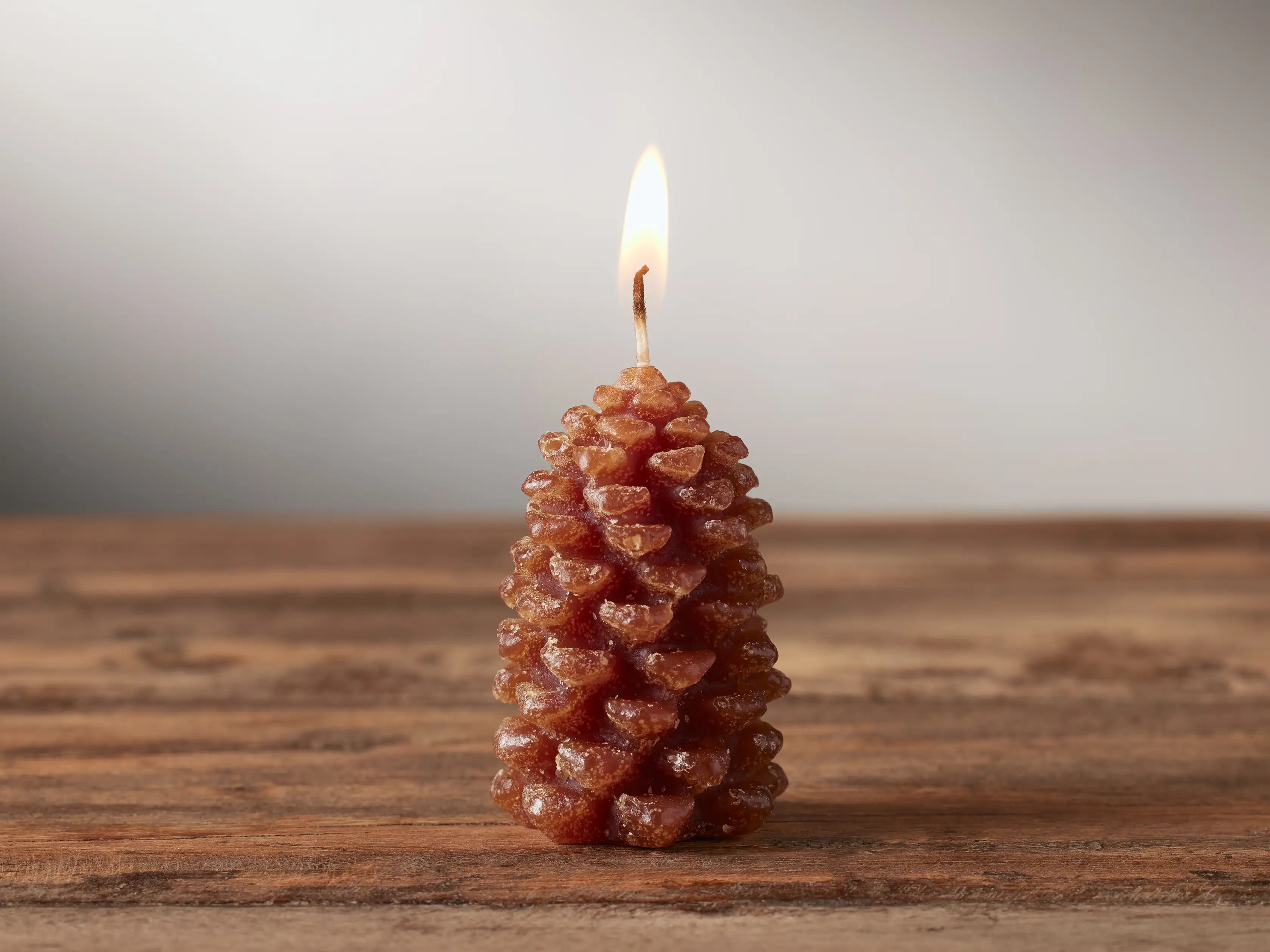 Pinecone Tealight Candles (Set of 9) | Arhaus