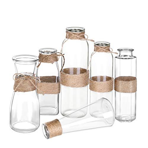 Jelofly Glass Vases Clear Flower Bud Vase in Differing Unique Shapes Creative Rope Design - Set of 6 | Amazon (US)