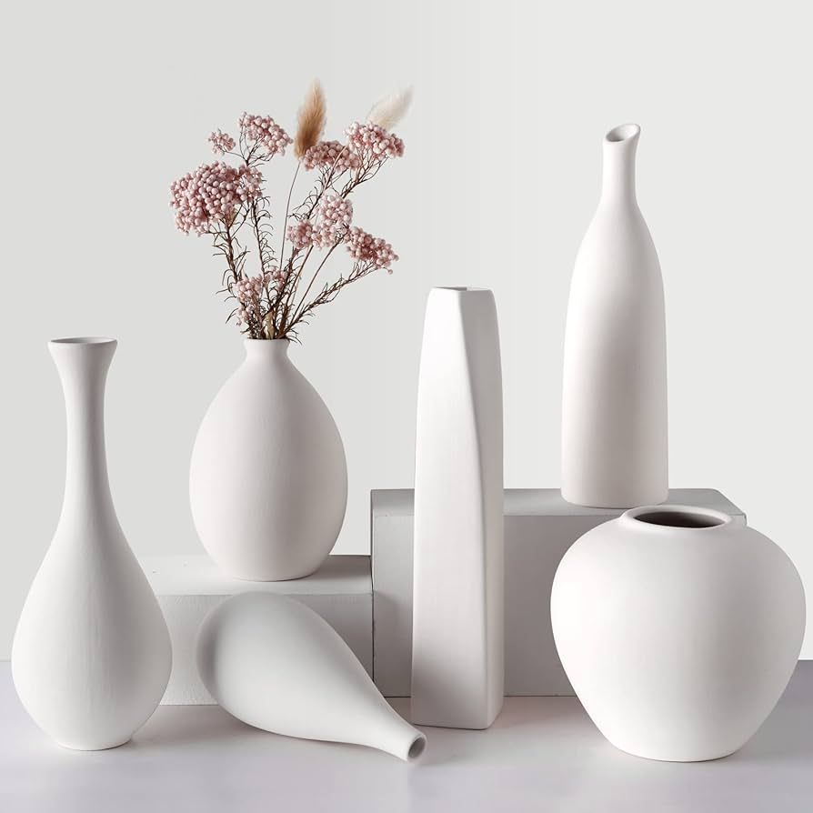 CUCUMI Ceramic Vase Small White Modern Flower Vases Set of 6 Rustic Decorative Vases for Living R... | Amazon (US)
